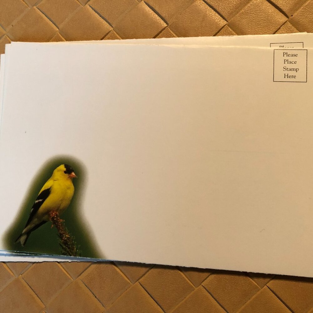 8 Blank Note Cards - Bluebirds, Ladybug and Dragonfly New